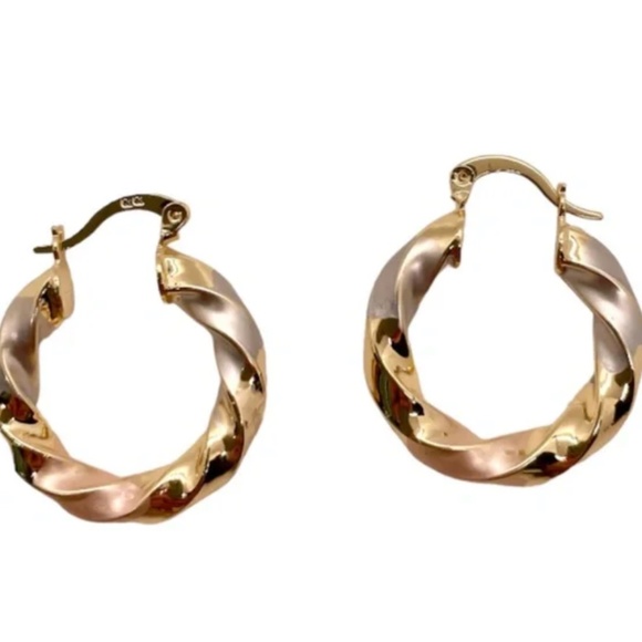 ❤️ FREE Spiral Tri Color Hoop Chic Glam Minimalist Classy Artsy Modern Earrings - Picture 5 of 5